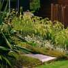 BEST Garden Maintenance/Hedge Trimming/ Lawn Treatment thumb 2