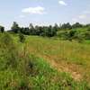 Prime 3 Acre Land For Sale in Shihome,Malava , Kakamega thumb 0