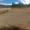 One acre land for sale thumb 2