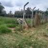 KAHAWA SUKARI MURANGA ROAD ¼ ACRE ON SALE thumb 0