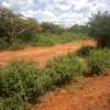 163 Acres Touching Makindu-Wote Road Is Available For Sale thumb 1