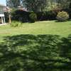 Lovely 5 BR House plus Dsq in Karen thumb 11