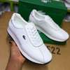 Lacoste casuals thumb 1