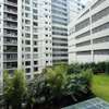 Furnished 3 Bed Apartment with En Suite in Spring Valley thumb 5