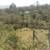 0.25 ac Residential Land in Ngong thumb 5