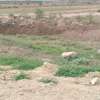 10 ac Commercial Property with Garden in Athi River thumb 1