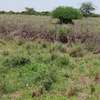 270 Acres Block in Kajiado Is Available For Quick Sale thumb 0