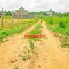 0.05 ha Residential Land in Kamangu thumb 8