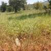 Itabua Nduba 1acre thumb 1