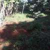 Very Spacious 6 BR House plus Sqs in Ngong thumb 9