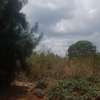 Land at Kiambu Road thumb 8