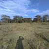 Land in Naivasha thumb 8