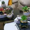 Simple creative succulent Planter Flower pot thumb 1