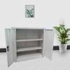 Double-Door Steel Filing Cabinet – Adjustable Shelves thumb 1