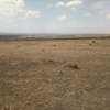 180 Acres of Land For Sale in Kipeto, Isinya thumb 6