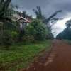 Residential Land in Tatu City thumb 9