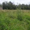 Lovely One Acre in Karen thumb 3