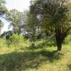 9 ac Land at Karen thumb 1