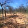64 acres along Makindu-Wote Road Makueni County thumb 11