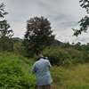 Prime Fertile Land in Ithanga, Murang'a, Near Kakuzi thumb 3