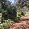 Residential Land at Karuri thumb 22