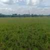 Land for sale in Lenchani thumb 2