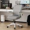 Ergonomic Mesh Office Chair with Headrest thumb 1