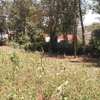 0.5 ac residential land for sale in Ngong thumb 0