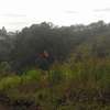 0.125 ac Residential Land in Ngong thumb 6