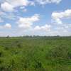 Blocks of Land For Sale in Murang'a - Thika-Gatanga Rd thumb 7