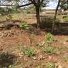 land for sale in Thika thumb 2