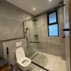Furnished 3 Bed Apartment with En Suite in Spring Valley thumb 7