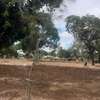 19 acres parcel of land for sale in Ganda,Malindi thumb 3