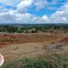 500 ac Residential Land at Lussingetti thumb 0