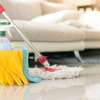 Best Carpet Cleaning & Domestic Services |  Floor Cleaning |  Window Cleaning |  Dryer Vent Cleaning |  Pressure Washing |  Chimney Sweep and Cleaning |  Upholstery Cleaning |  Oriental Rug Cleaning &  Blind Cleaning thumb 2