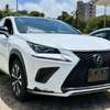 2019 LEXUS NX300 thumb 1