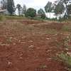 40X80ft PLOTS FOR SALE AT KABATI ZABKA IN MURANGA COUNTY thumb 9