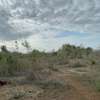 100 ac Commercial Land at Lungalunga thumb 1