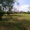 Prime Plots Diani Galu 1/4 Acre, 700m to Beach thumb 2