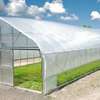 Greenhouse Services.Trusted & Affordable Professionals.Free Quote thumb 5