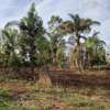 Residential Land at Kiambu Road thumb 7