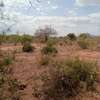 10 Acres for sale in canaan within voi thumb 5