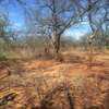 64 acres along Makindu-Wote Road Makueni County thumb 1