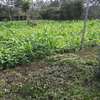 500 m² residential land for sale in Ongata Rongai thumb 2