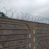 730mm 450mm Barbed wire & Razor wire supply  in Kenya thumb 1