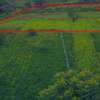 Residential Land in Thika thumb 0