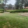 0.5 ac Land at Kilimani thumb 4