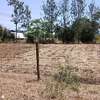 QUARTER ACRE LAND FOR SALE AT KENOL TOUCHING HIGHWAY. thumb 2