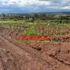 0.05 ha Land at Gikambura thumb 2