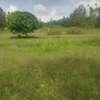 Prime 3Acre land for sale thumb 10